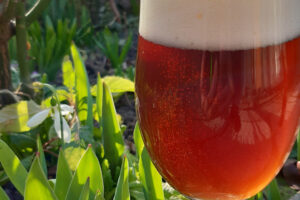 рецепта за ирландска червена бира