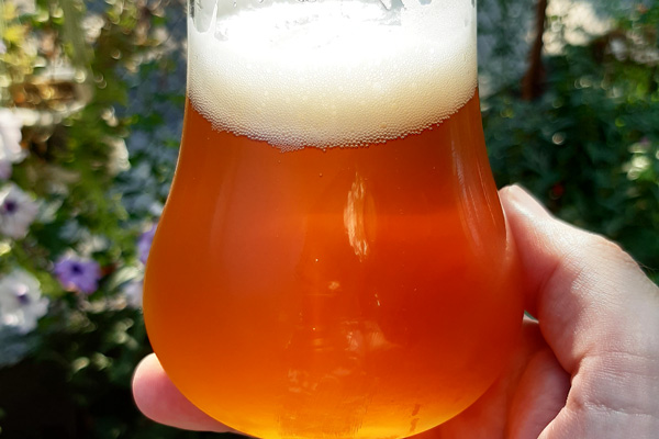 рецепта за бира