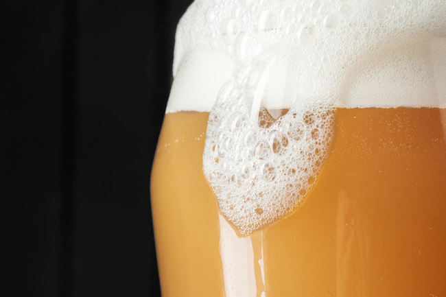 дрожди за бира и ферментация