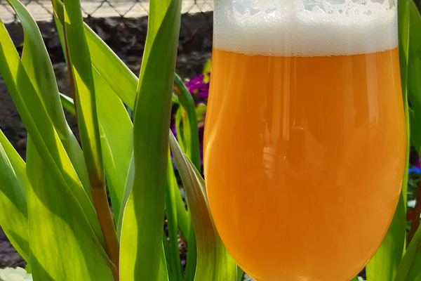 рецепта за вайс