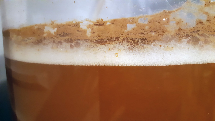 ферментация на бира